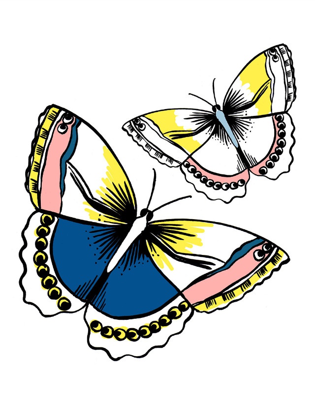 illustration penelope rolland papillons.jpg - Pnlope ROLLAND | Virginie